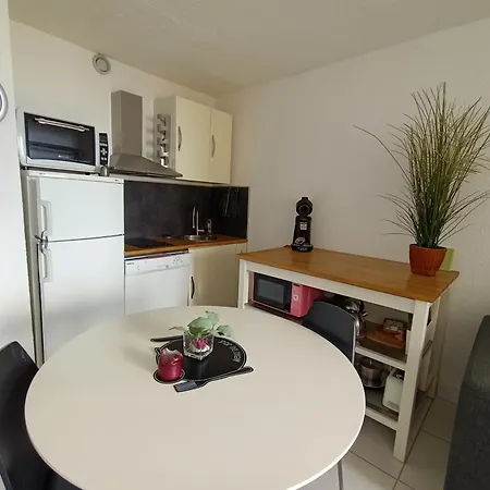 Equipe Avec Vue Mer, Parking Et Animaux Admis A 50m De La - Fr-1-799-43 Apartment *