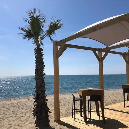 Equipe Avec Vue Mer, Parking Et Animaux Admis A 50m De La - Fr-1-799-43 * Le Barcares
