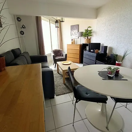Apartment Equipe Avec Vue Mer, Parking Et Animaux Admis A 50m De La - Fr-1-799-43 Le Barcares