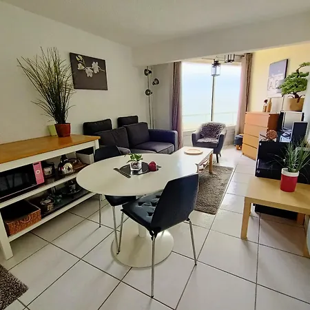 Equipe Avec Vue Mer, Parking Et Animaux Admis A 50m De La - Fr-1-799-43 Apartment Le Barcares
