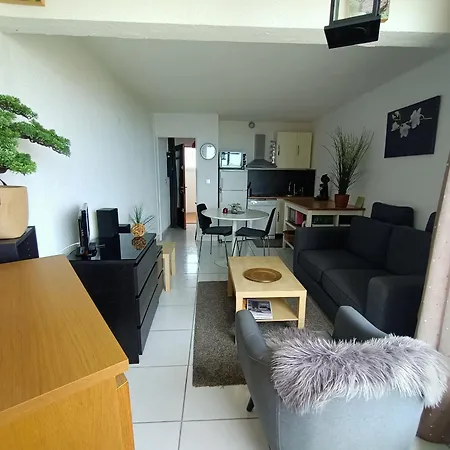 Equipe Avec Vue Mer, Parking Et Animaux Admis A 50m De La - Fr-1-799-43 *